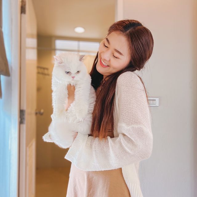 พิกัดที่พักพาน้องหมา น้องแมวเข้าพักได้ 🐕🐈