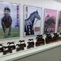  🔥 探索賽馬世界！東京競馬場 🔥
