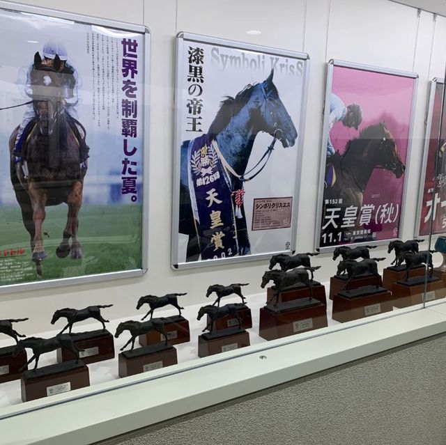  🔥 探索賽馬世界！東京競馬場 🔥