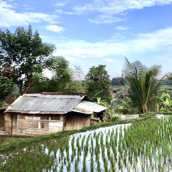 Hidden Place of Paradise in Ubud