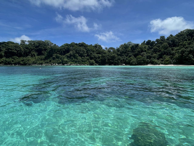 📍東南亞版的馬爾地夫/ 馬來西亞。刁曼島 🏝️ 