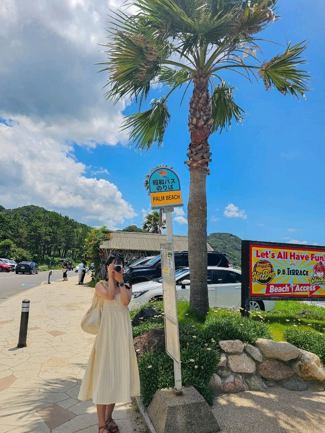 🏖️후쿠오카 근교: '이토시마' 해변 즐기기🏖️