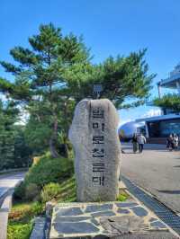 영월을 한눈에 담는 아찔 산꼭대기⛰️