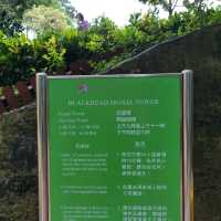 訊號山花園 - 鬧市中既寧靜花園