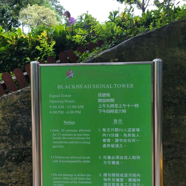 訊號山花園 - 鬧市中既寧靜花園