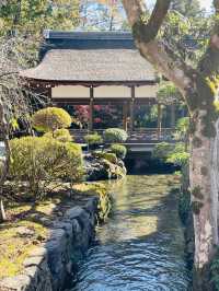 【京都府/賀茂別雷神社】神秘的な2つの立砂