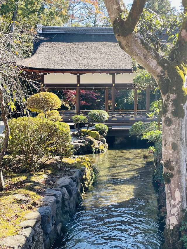 【京都府/賀茂別雷神社】神秘的な2つの立砂