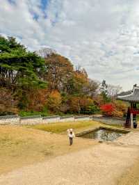 Best autumn spots in Seoul & beyond 🍁🍂
