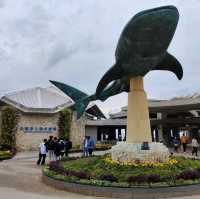沖繩遊必去美麗水族館
