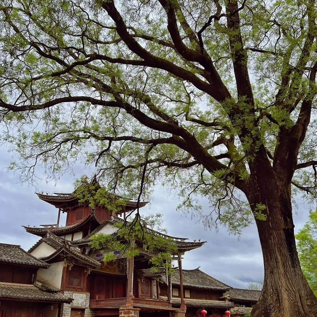 興隆里 🏡🌸懷舊風情🚶🌳