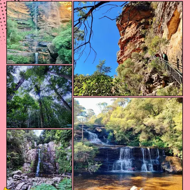 南嶺國家森林公園 🌳🏞️自然之美的保護區 🦌🌲