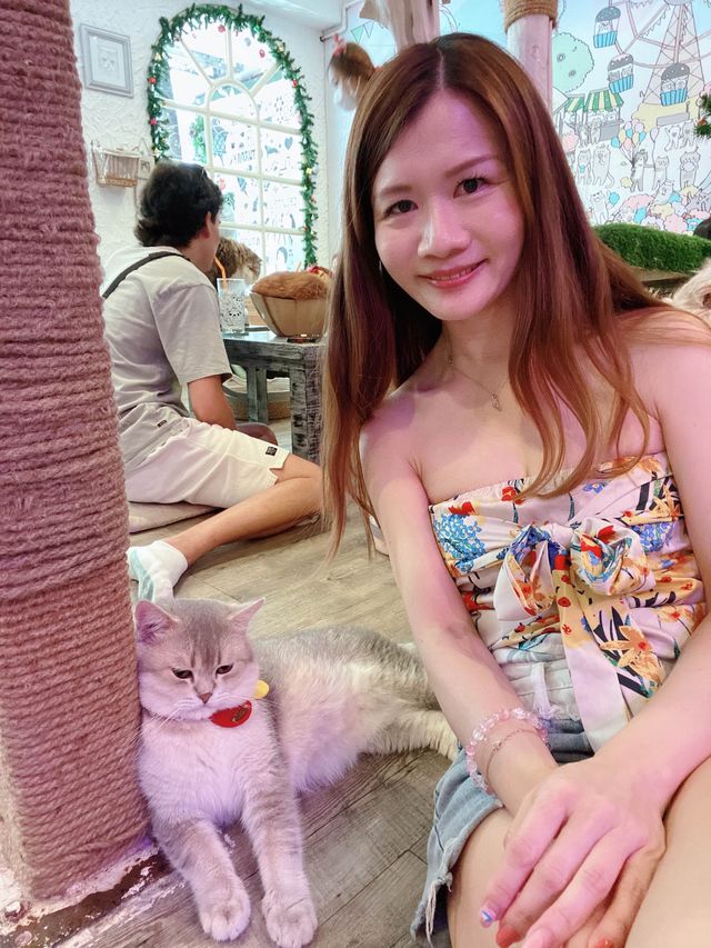 曼谷貓cafe 