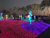 มนต์เสน่ห์เชียงใหม่ เมืองดอกไม้งาม