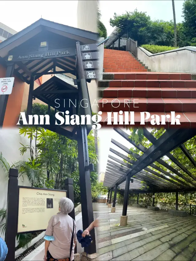 Ann Siang Hill Park:A Quiet Enclave 🌿🌳