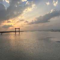 A Perfect Oasis and memorable experience 