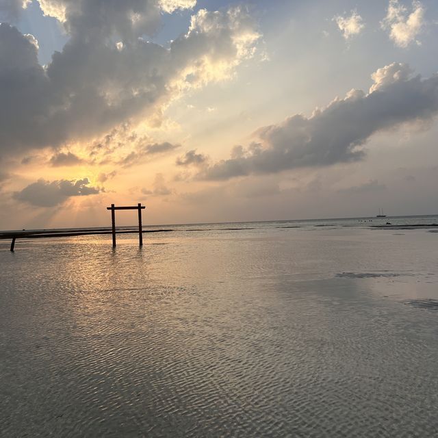 A Perfect Oasis and memorable experience 