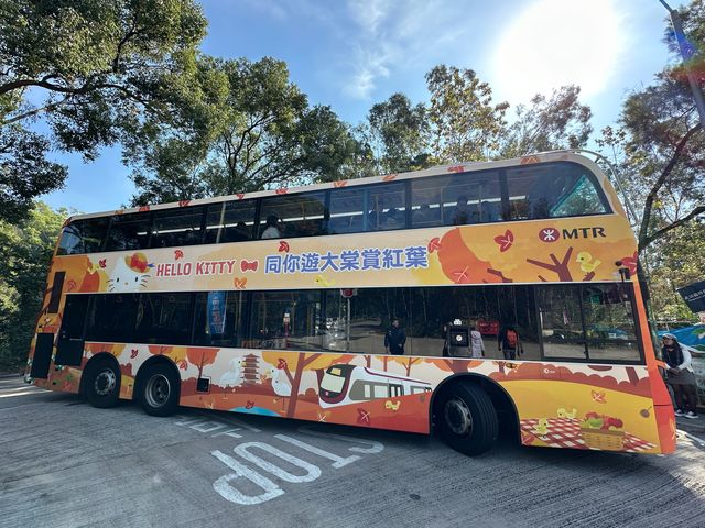 香港郊遊 | Hello Kitty同你遊大棠賞紅葉