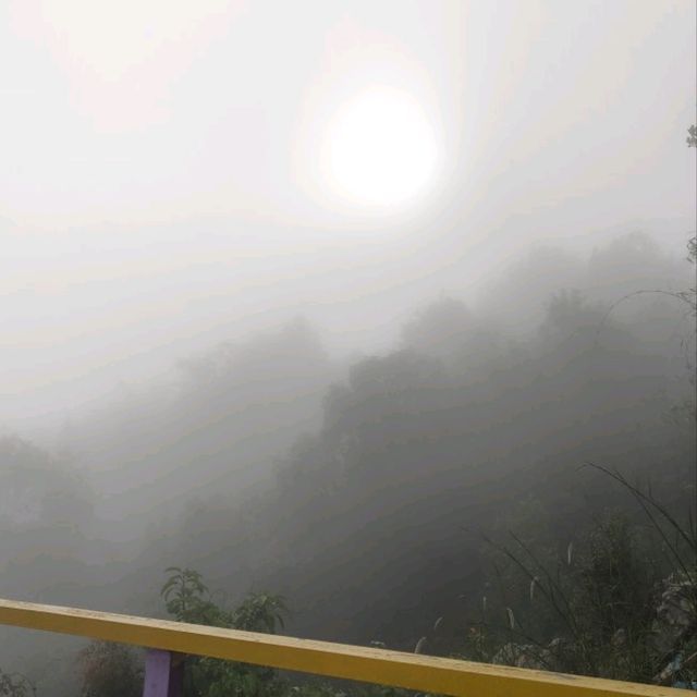 Hunting Carpeted Clouds On Bukit Taisho!