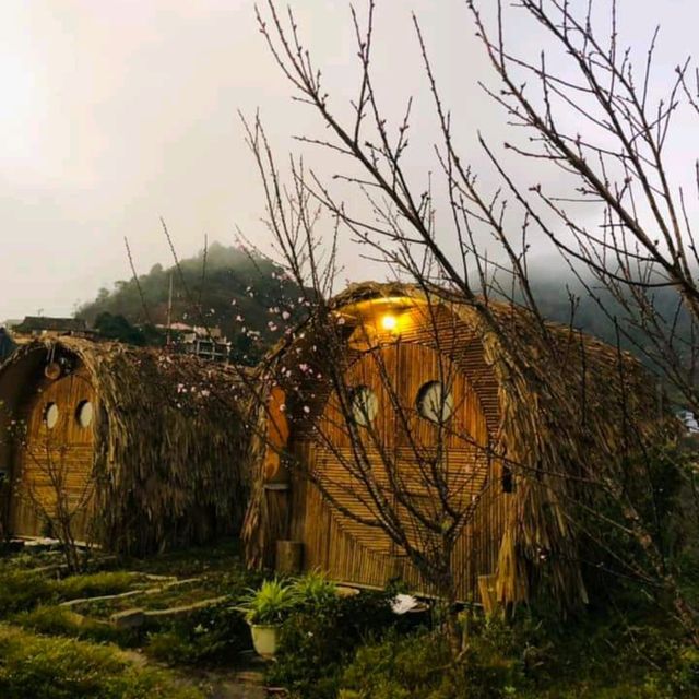 Ta Xua, cloud hunting, Northern Vietnam