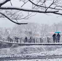 大雪中的白川鄉