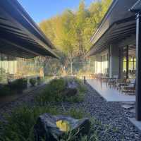 【箱根】おすすめ旅館