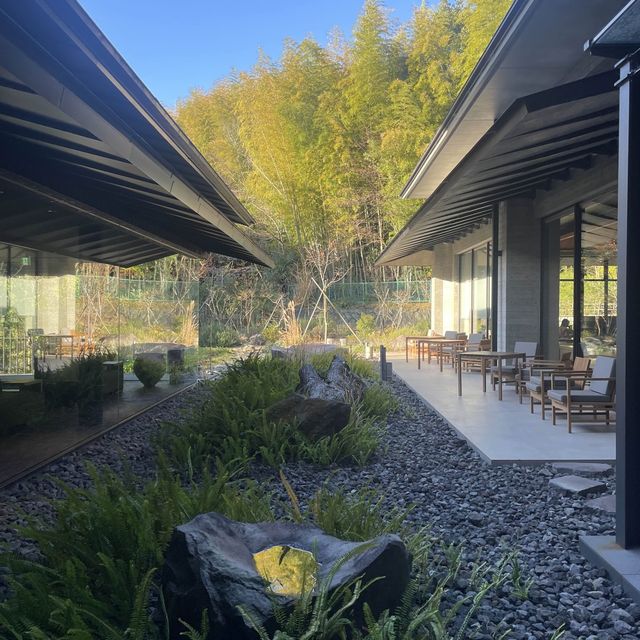 【箱根】おすすめ旅館