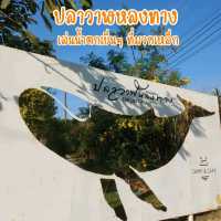 เล่นน้ำตกเย็นๆ ที่มวกเหล็ก สระบุรี