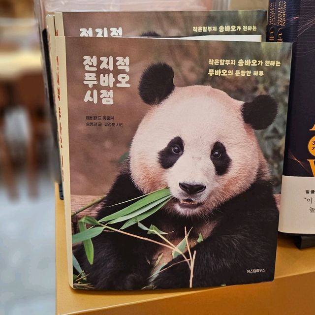 연인과 함께 독서 데이트 아크앤북 동탄호수점
