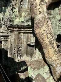 Ta Prohm Temple_in Tomb Rider Movie