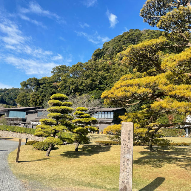 鹿兒島首屈一指的庭園「仙巖園」