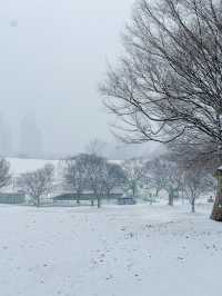 눈 올땐 삿포로 부럽지 않은 서울 올림픽공원🩵❄️