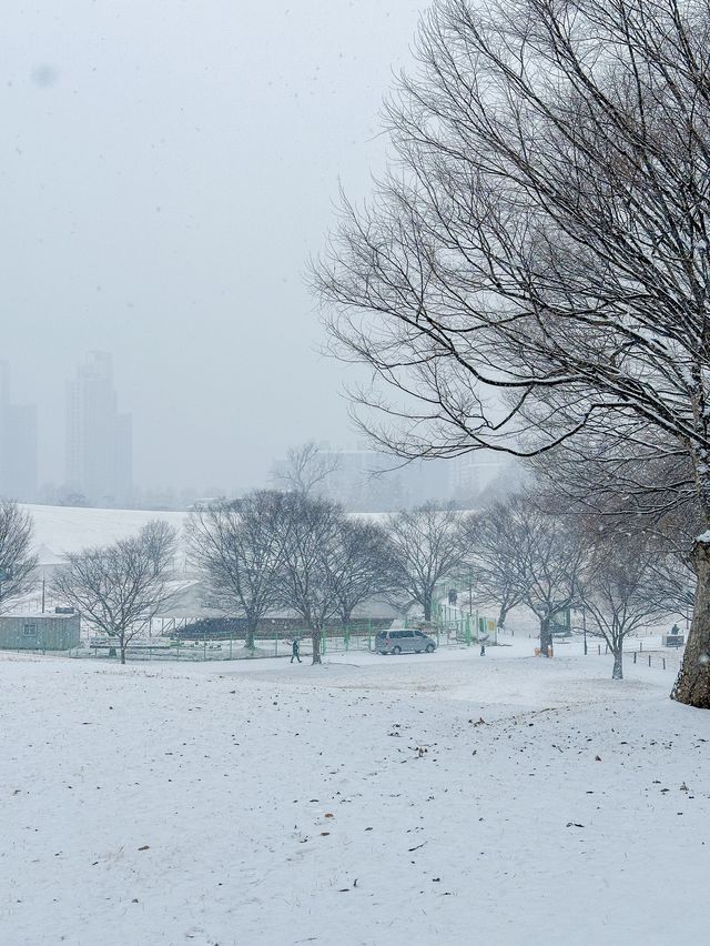 눈 올땐 삿포로 부럽지 않은 서울 올림픽공원🩵❄️