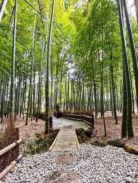 【神奈川】京都じゃないよ！心安らぐ竹の庭🎋