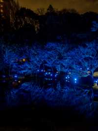 【無料で楽しめる！✨】八芳園のブルーライトアップがとても幻想的！😳✨