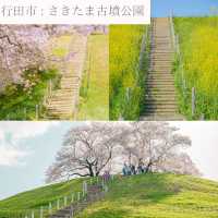 【埼玉】おすすめSAKURAスポット6選