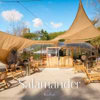 Salamander Koffee