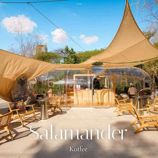 Salamander Koffee