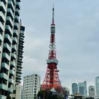 The stunning Tokyo tower 🗼 