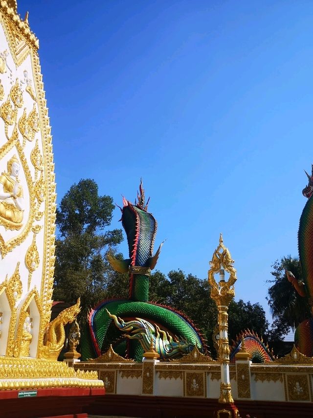 วัดพระธาตุหนองบัว จังหวัดอุบลราชธานี