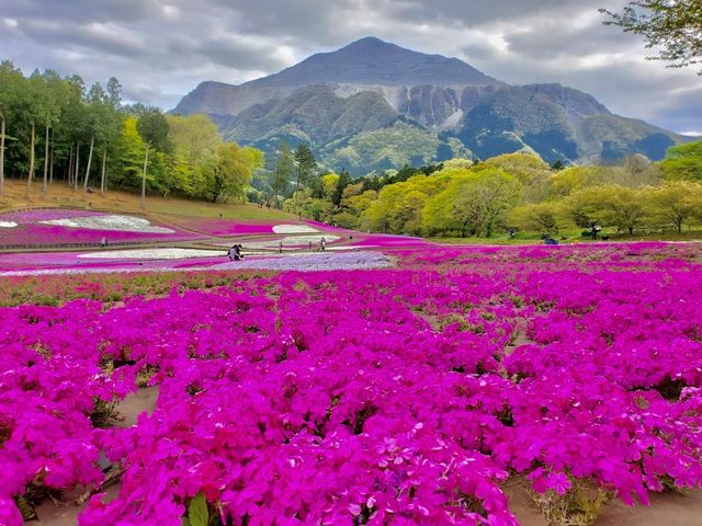 Hitsujiyama Park