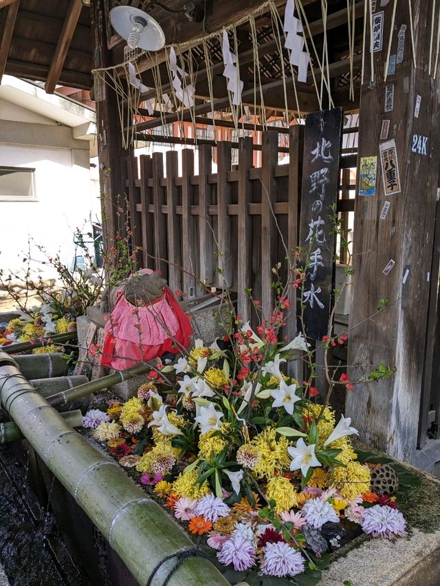 北野天満宮【北野の花手水】撫で牛の両脇の生花が華やかで綺麗