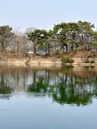 오리들과 멋진 자연 경관 풍경을 보며 ⛴️ 산책할 수 있는 마장호수 둘레길