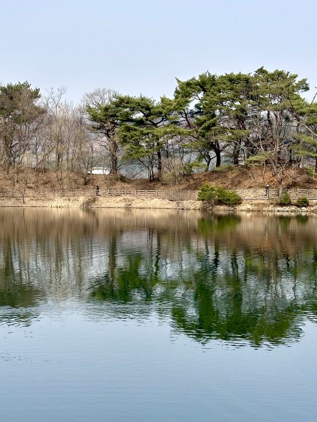 오리들과 멋진 자연 경관 풍경을 보며 ⛴️ 산책할 수 있는 마장호수 둘레길