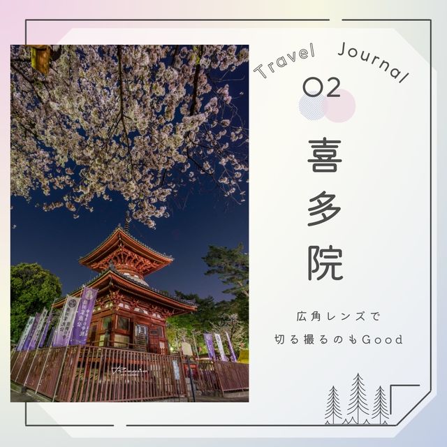 🌸桜の川越を巡る旅🌸