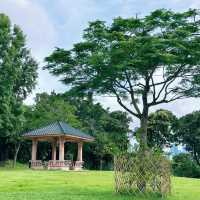 「新加坡難得的市區綠洲：肯特崗公園」