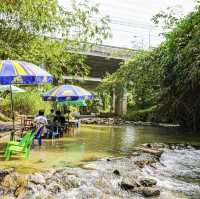 หนมจีนพานเต