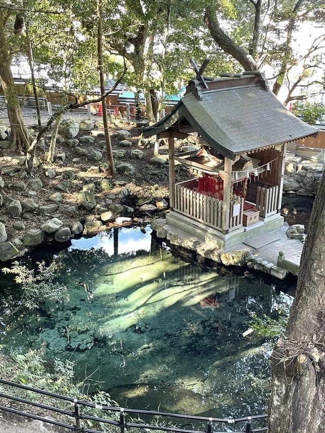 【泉神社/茨城県】エメラルドグリーンの泉と泉龍木