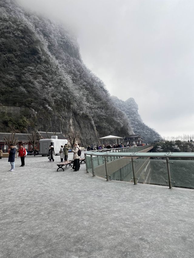 張家界｜天門山-索道🚠上天梯🚡