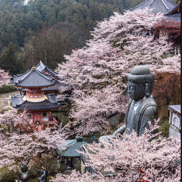 壺阪寺