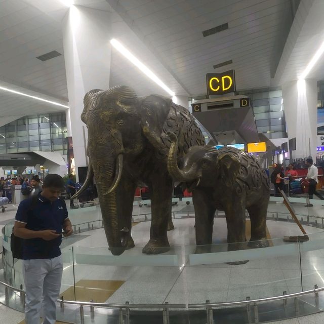 Wild Elephant at Delhi Airport